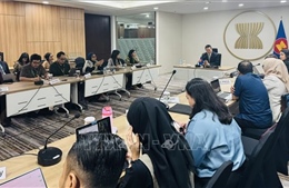 ASEAN thống nhất cao trong các vấn đề ưu tiên chiến lược