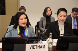 Việt Nam khẳng định vị thế và cam kết chiến lược tại Phiên đối thoại với Ủy ban CEDAW