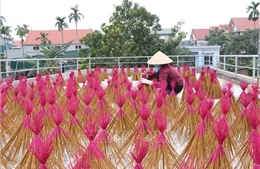 Làng hương truyền thống bận rộn khi đơn hàng Tết tăng 2-3 lần