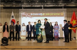 Xuân quê hương với kỳ vọng tươi sáng của cộng đồng người Việt tại Hàn Quốc