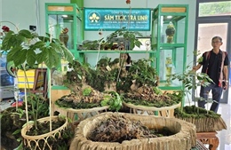 Tư duy kinh tế nông nghiệp bền vững - Bài cuối: Chìa khóa mở rộng không gian kinh tế nông nghiệp