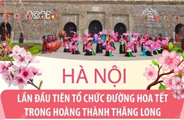 Hà Nội: Lần đầu tiên tổ chức Đường hoa Tết trong Hoàng thành Thăng Long