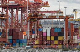 Hạ viện Mỹ bỏ phiếu phản đối thuế quan đối với hàng hóa Canada