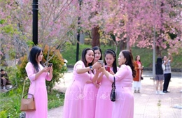 Thăm giảng đường 'đẹp không góc chết' ngay lòng Đà Lạt