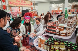 Hội chợ Mùa Xuân 2026: Hướng tới chuẩn mực thị trường cao