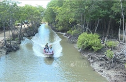 Cần Giờ - 'Cửa ngõ' đại dương của siêu đô thị