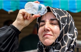 'Lá chắn AI' trước hiện tượng nắng nóng cực đoan ở Vùng Vịnh