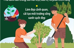 Ý nghĩa của Tết trồng cây