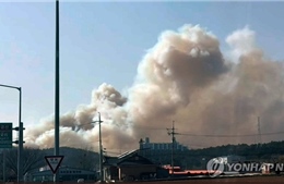 Cháy rừng bùng phát tại nhiều địa phương của Hàn Quốc