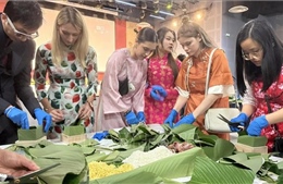 Chợ Xuân lan tỏa văn hóa Việt Nam giữa lòng nước Pháp