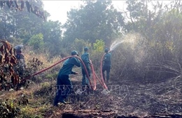 Lâm Đồng làm rõ nguyên nhân cháy 2,6 ha rừng ven Quốc lộ 28