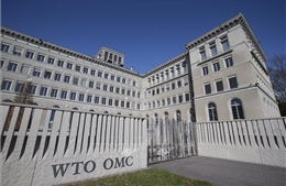 WTO thành lập hội đồng giải quyết tranh chấp giữa Ấn Độ và Trung Quốc