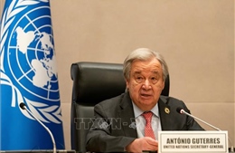 Đại hội đồng LHQ thông qua nghị quyết kêu gọi ngừng bắn ngay lập tức tại Ukraine