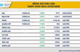Giá bạc trong nước tăng nóng trước ngày vía Thần Tài