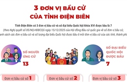 3 đơn vị bầu cử của tỉnh Điện Biên