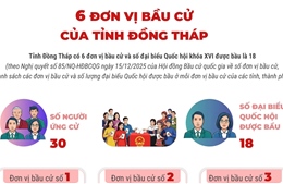 6 đơn vị bầu cử của tỉnh Đồng Tháp