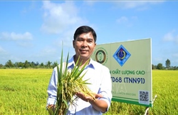 Nông dân đón nhận giống lúa mới với nhiều ưu điểm vượt trội