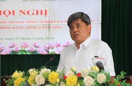 ĐBSCL giữ vững vai trò 'vựa lúa' trước thách thức hạn hán, xâm nhập mặn