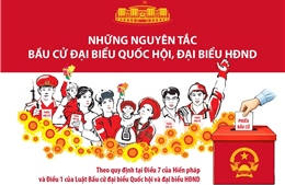 Những nguyên tắc bầu cử đại biểu Quốc hội, đại biểu HĐND 