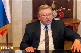 Nga sẵn sàng làm trung gian hòa giải giữa Iran và Mỹ