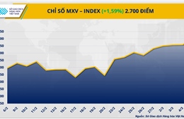MXV-Index lên vùng cao nhất trong 8 năm qua