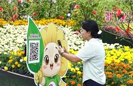 Đổi mới tuyên truyền bầu cử qua 'lăng kính' công nghệ số