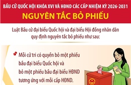 Bầu cử Quốc hội và HĐND: Nguyên tắc bỏ phiếu