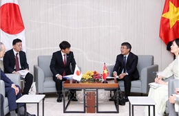 Việt Nam - Nhật Bản mở rộng hợp tác trên nhiều lĩnh vực
