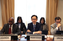 Việt Nam tham vấn về Hội nghị kiểm điểm Hiệp ước Không phổ biến vũ khí hạt nhân lần thứ 11