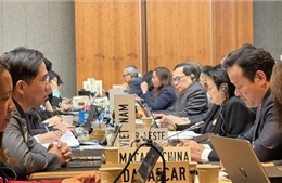 Việt Nam thúc đẩy đồng thuận hướng tới hội nghị Bộ trưởng WTO