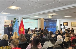 Việt Nam chủ trì tọa đàm quốc tế 'Tăng cường tiếp cận công lý cho phụ nữ và thanh niên'