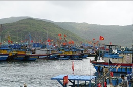 Ngư dân Gia Lai cập bến sớm để thực hiện quyền công dân