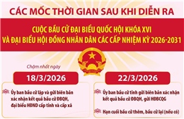 Các mốc thời gian quan trọng sau cuộc bầu cử