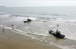 Xăng dầu tăng cao, ngư dân Thanh Hóa nỗ lực bám biển, duy trì sinh kế