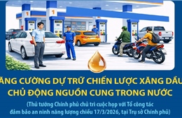 Thủ tướng Chính phủ Phạm Minh Chính: Tăng cường dự trữ chiến lược xăng dầu, chủ động nguồn cung trong nước