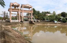 Nguy cơ triều cường vượt báo động 3, Đồng Tháp khẩn trương chống ngập, mặn