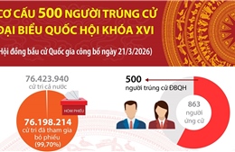 Cơ cấu 500 người trúng cử Đại biểu Quốc hội khóa XVI