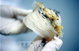 Doanh nghiệp xuất khẩu thực phẩm cần lưu ý quy định đăng ký mới của Trung Quốc