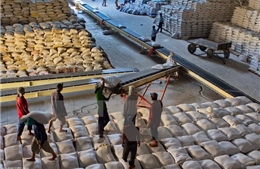 Tạo điều kiện thúc đẩy xuất khẩu gạo