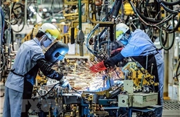 Mở rộng hợp tác nhân lực giữa doanh nghiệp Đức và thị trường lao động Việt Nam