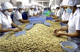 Đa dạng thị trường, giảm rủi ro xuất khẩu nông sản