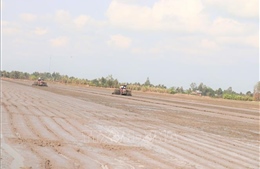 Gỡ 'nút thắt' liên kết trong Đề án 1 triệu ha lúa chất lượng cao