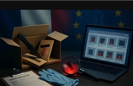 Pháp phát hiện 70% sản phẩm online dưới chuẩn và độc hại