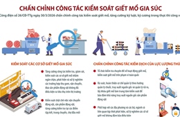 Chấn chỉnh công tác kiểm soát giết mổ gia súc