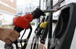 Đông Bắc Á tăng tốc ứng phó rủi ro năng lượng