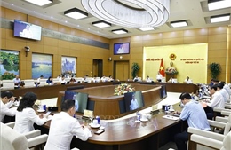 Xây dựng, cập nhật các kịch bản điều hành vĩ mô phù hợp