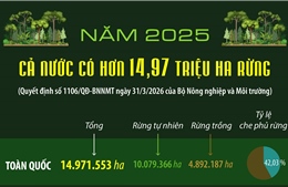 Năm 2025: Cả nước có hơn 14.97 triệu ha rừng