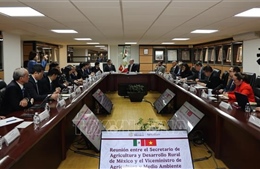 Thúc đẩy hợp tác nông nghiệp Việt Nam-Mexico thực chất và bền vững