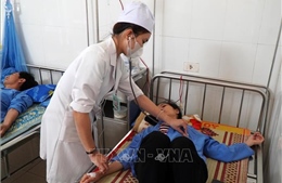 Vụ ngộ độc do ăn bánh mì tại Quảng Ngãi: Thực phẩm bị nhiễm vi sinh vật