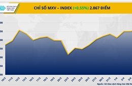 Bất chấp thanh khoản giảm do kỳ nghỉ Lễ Phục sinh, MXV-Index vẫn tăng 16 điểm
